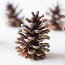 Load image into Gallery viewer, LARGE PINE CONE
