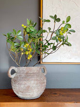 Load image into Gallery viewer, Siena