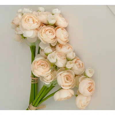 RANUNCULUS | CHAMPAGNE