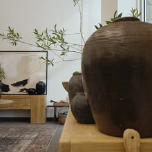 Load image into Gallery viewer, Rudy | Vintage Pot