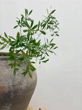 Load image into Gallery viewer, Louis I Vintage Pottery | INSTOCK