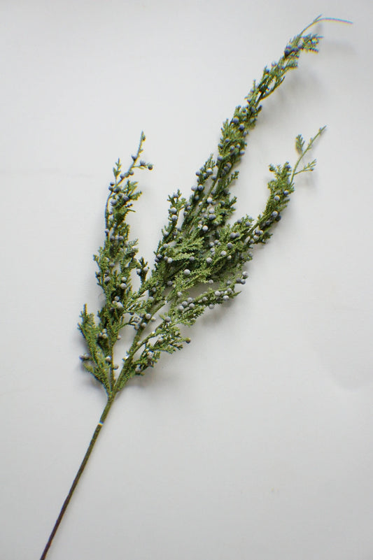 JUNIPER BERRY | STEM LRG