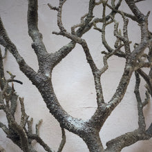 Load image into Gallery viewer, BRANCH | Artificial