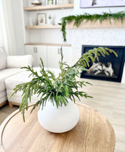 Load image into Gallery viewer, NORFOLK | BRANCH