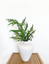 Load image into Gallery viewer, NORFOLK | BRANCH