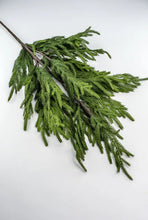 Load image into Gallery viewer, NORFOLK | BRANCH