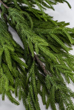 Load image into Gallery viewer, NORFOLK | BRANCH