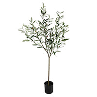 Load image into Gallery viewer, OLIVE TREE