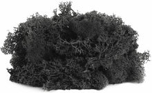 Load image into Gallery viewer, MOSS