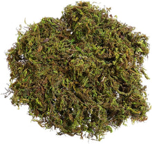 Load image into Gallery viewer, MOSS