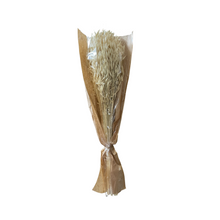 Load image into Gallery viewer, BOUQUET | DRIED OATS LRG
