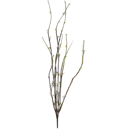 DOGWOOD | SPRIGS