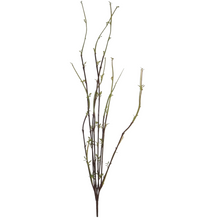 Load image into Gallery viewer, DOGWOOD | SPRIGS