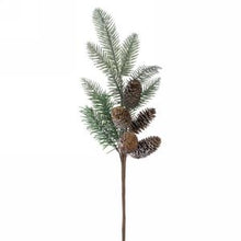 Load image into Gallery viewer, FROSTED PINE | STEM SM