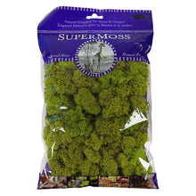 Load image into Gallery viewer, MOSS