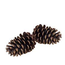 Load image into Gallery viewer, LARGE PINE CONE