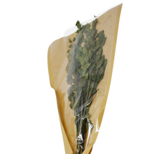 Load image into Gallery viewer, BOUQUET | DRIED GREENS
