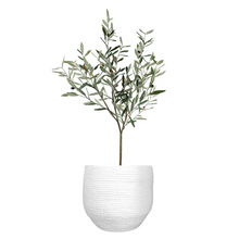 Load image into Gallery viewer, OLIVE TREE