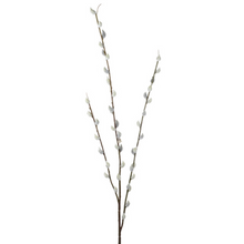 Load image into Gallery viewer, PUSSY WILLOW SPRAY
