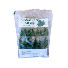 Load image into Gallery viewer, MOSS