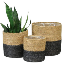 Load image into Gallery viewer, KIVA