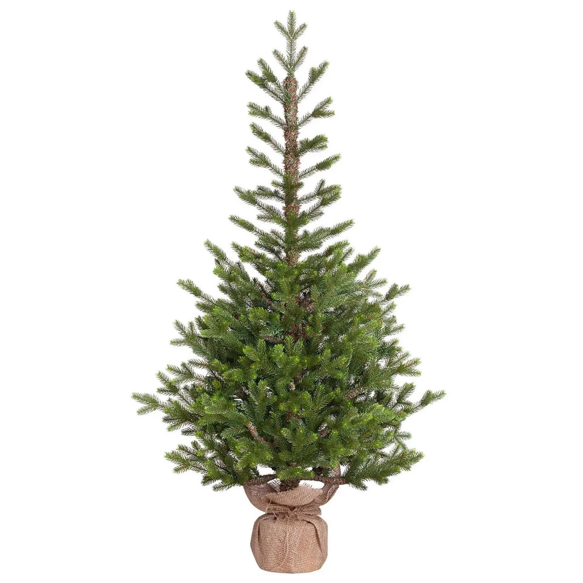NORDIC | Floor Trees
