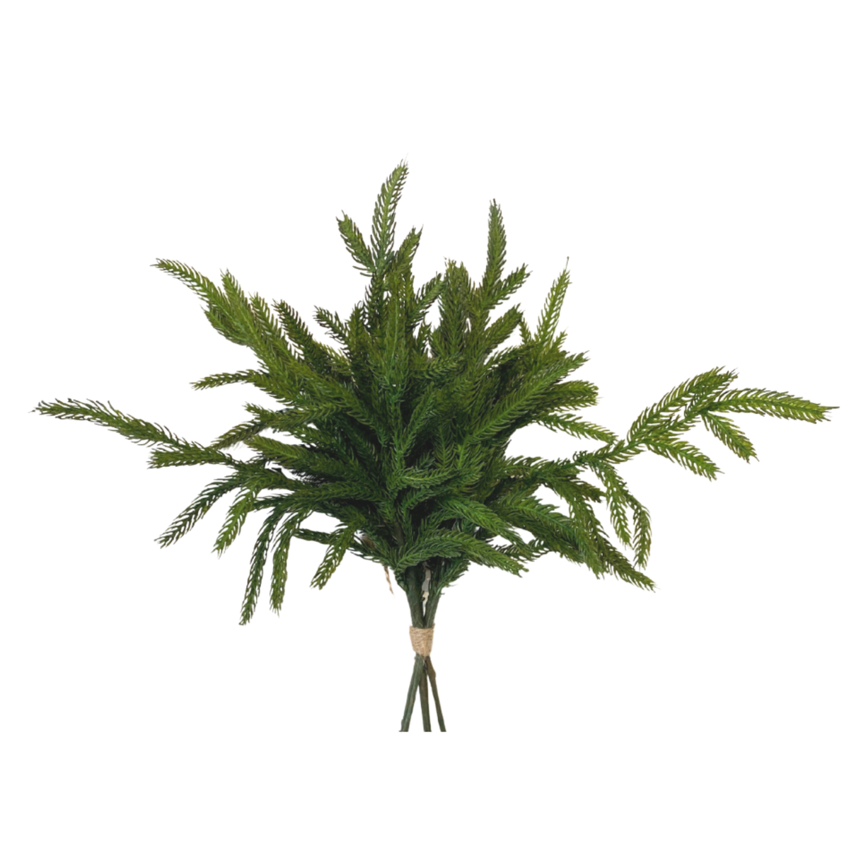 NORDIC | Greens