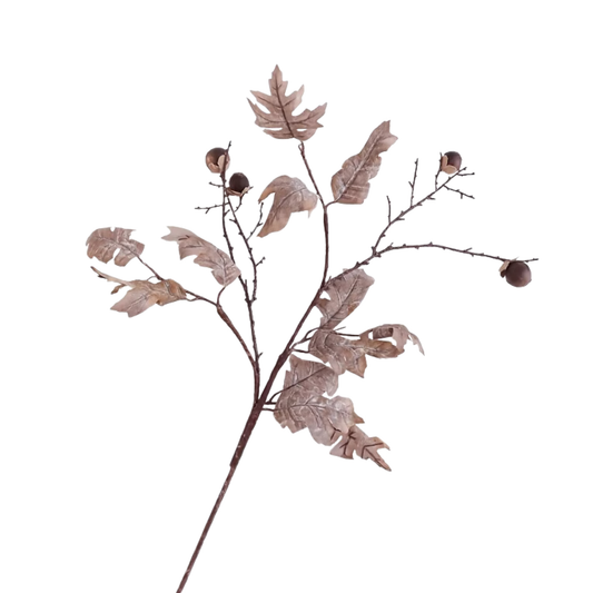 Leaf | Oak Coffee