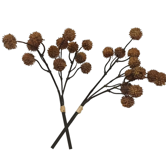 Seeded Stem | Amber