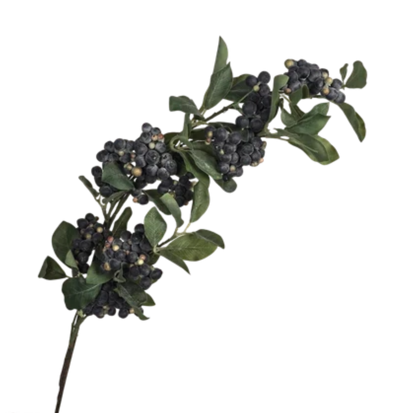 Berry | Autumn Leaf Blue