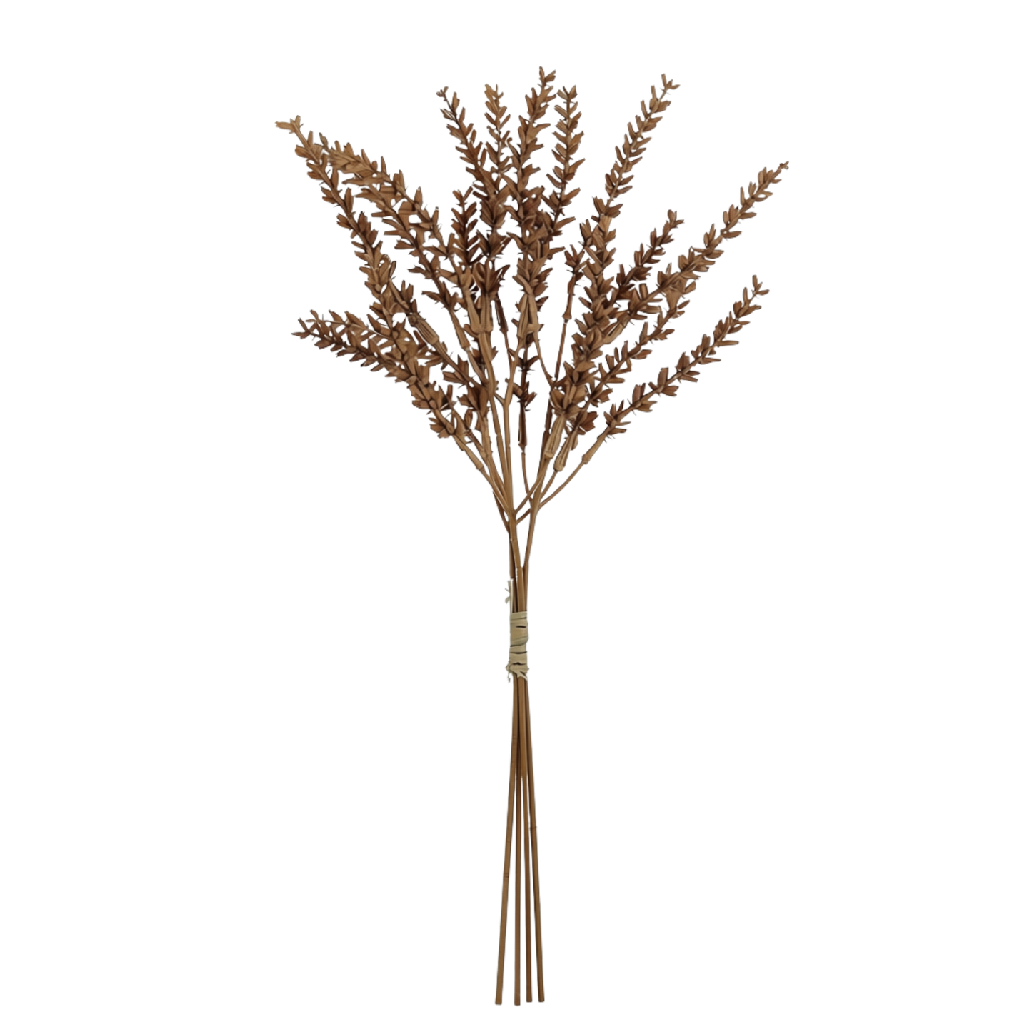Wheat Stem | Natural