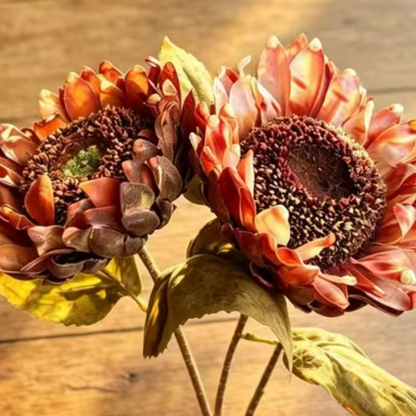 Sunflower | Rust