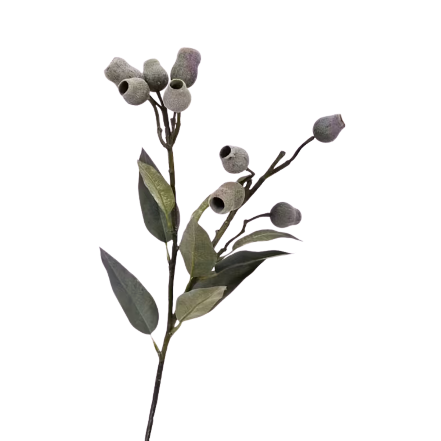 Seeded Stem | Green