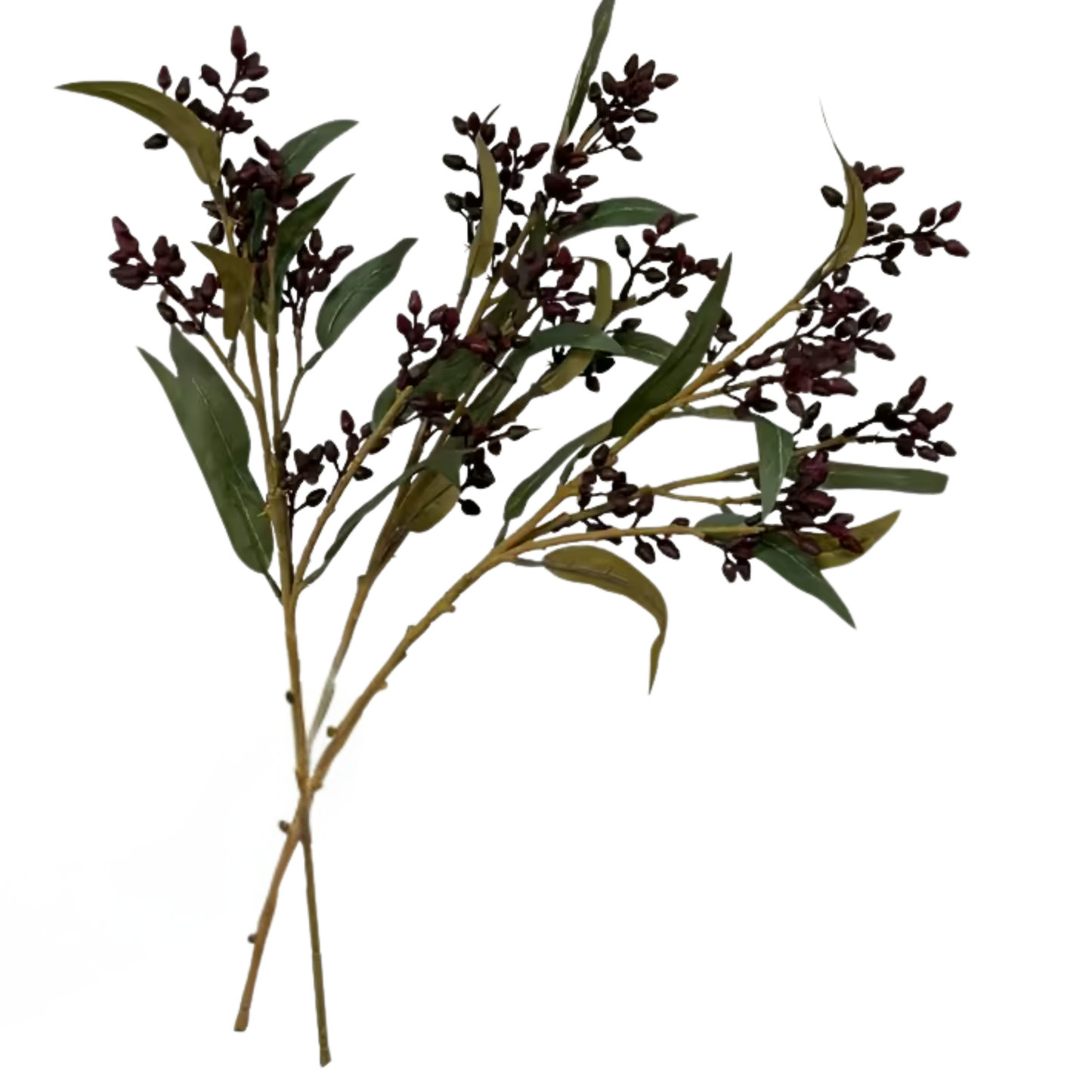 Seeded Stem | Merlot