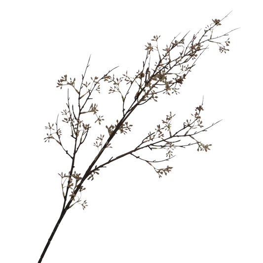 Seeded Stem | Coffee
