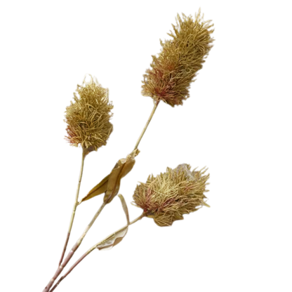 Thistle | Natural