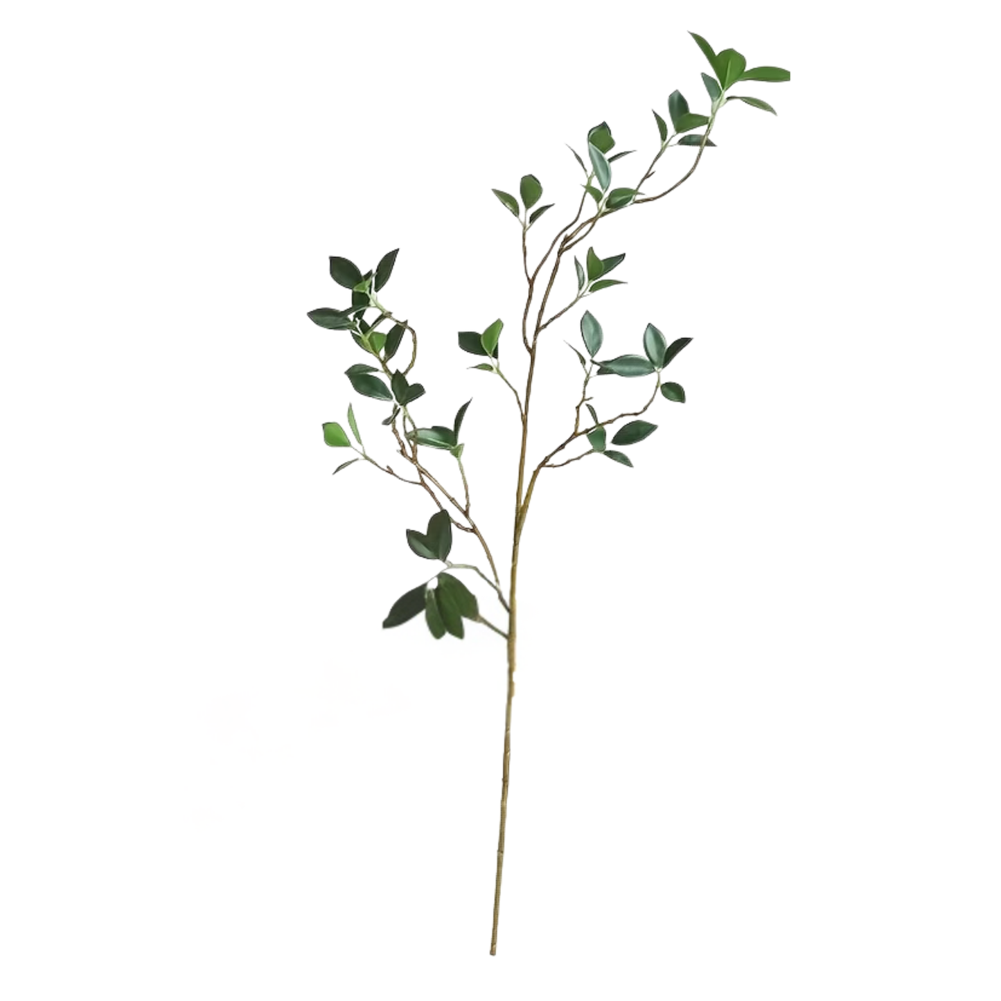 Mini Leaf | Hardy Green