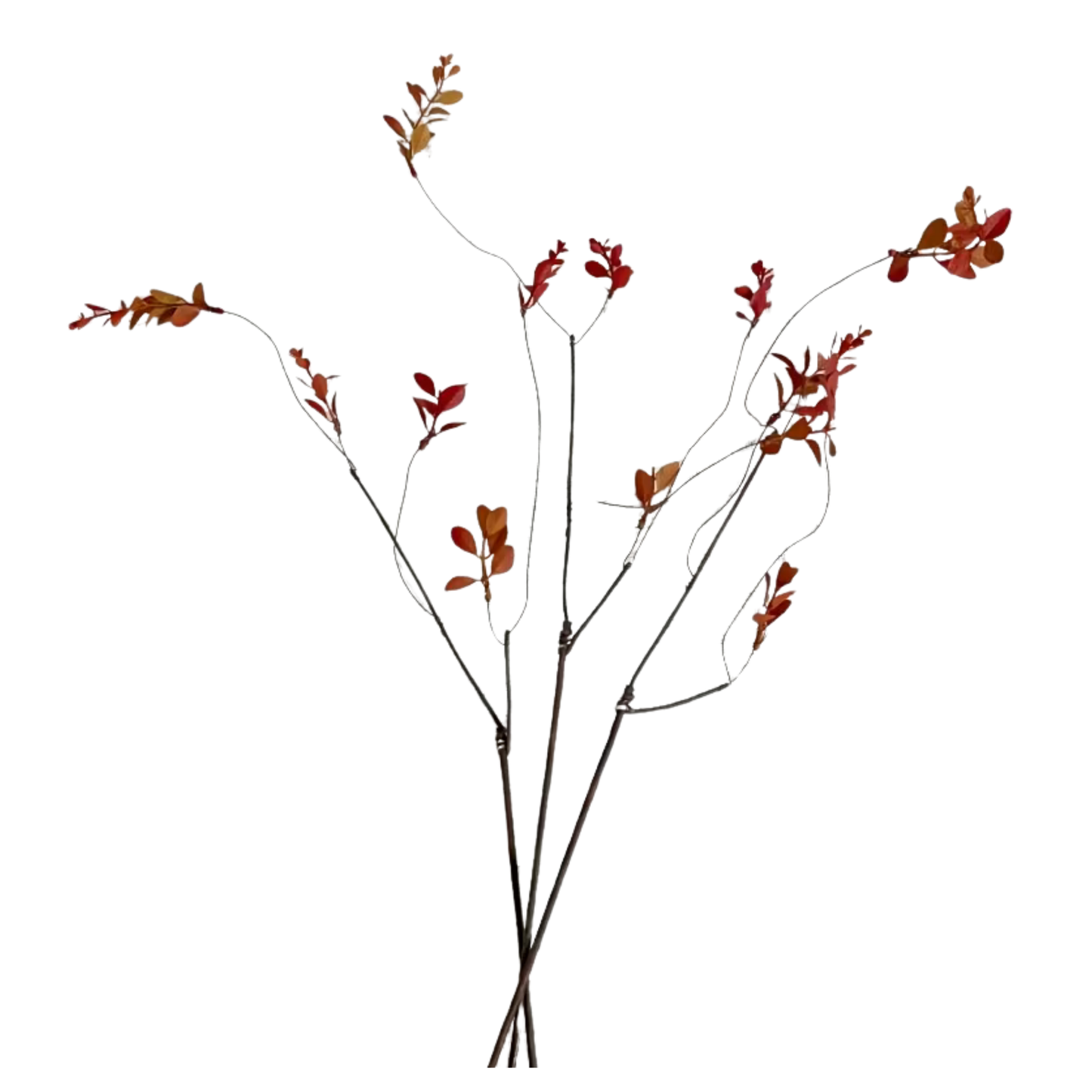 Mini Leaf | Merlot