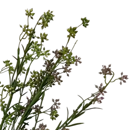 Wildflower
