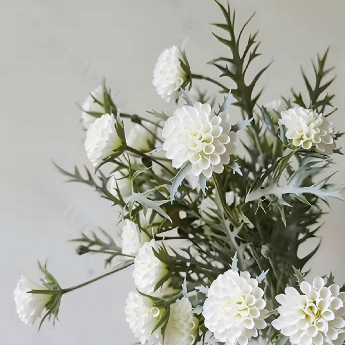 Pixie | Honeycomb White