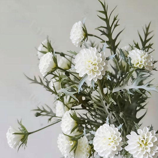 Pixie | Honeycomb White