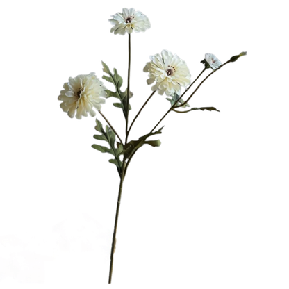 Floral | Cream