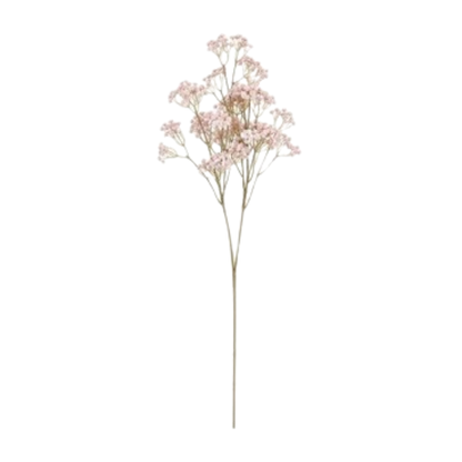Baby's Breath