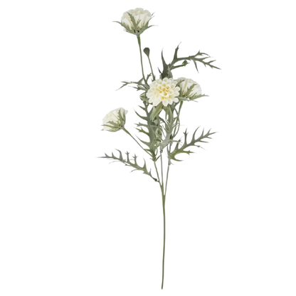 Pixie | Honeycomb White