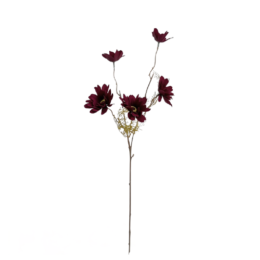 Floral | Merlot