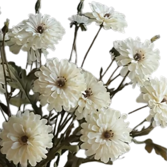 Floral | Cream