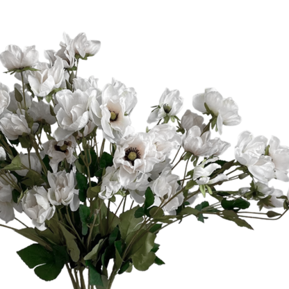 White Soft Stem