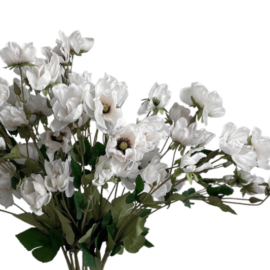 Floral | Soft White