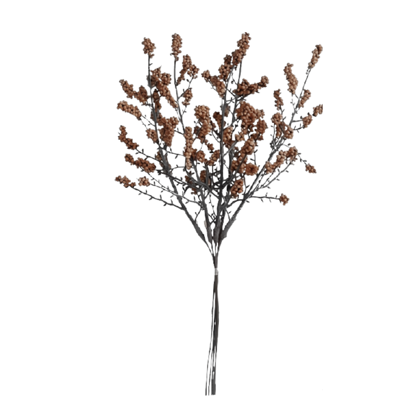 Pink Autumn Berry Stem