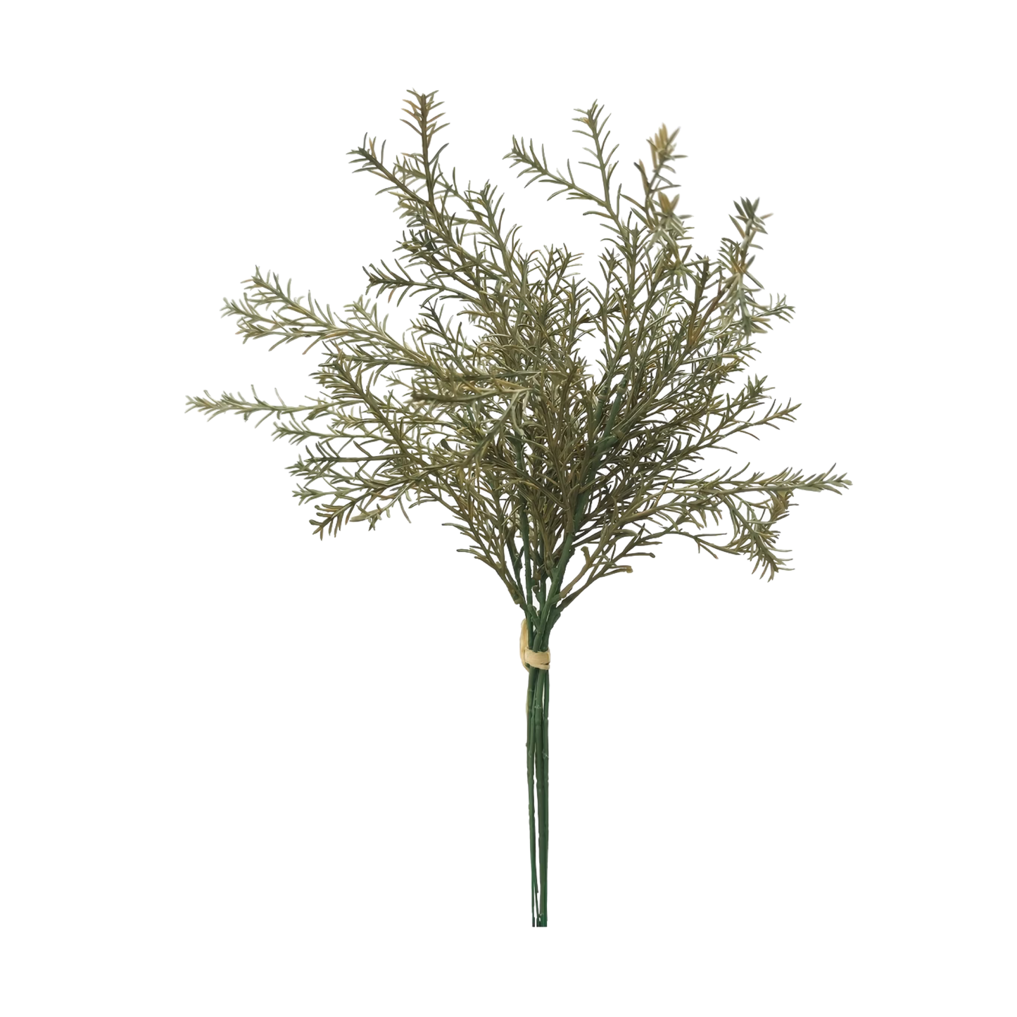 Green Feathery Filler Stem